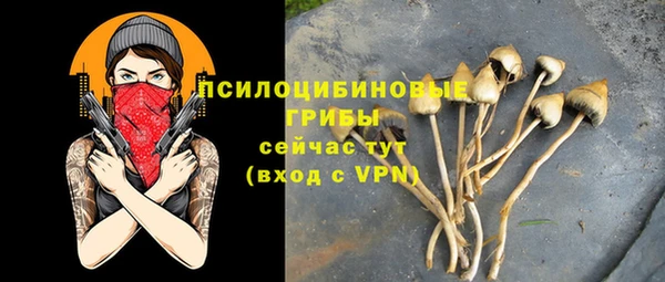 мяу мяу мука Абаза